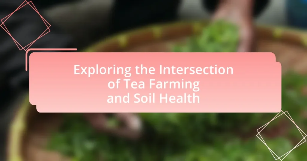 Exploring the Intersection of Tea Farming and Soil Health