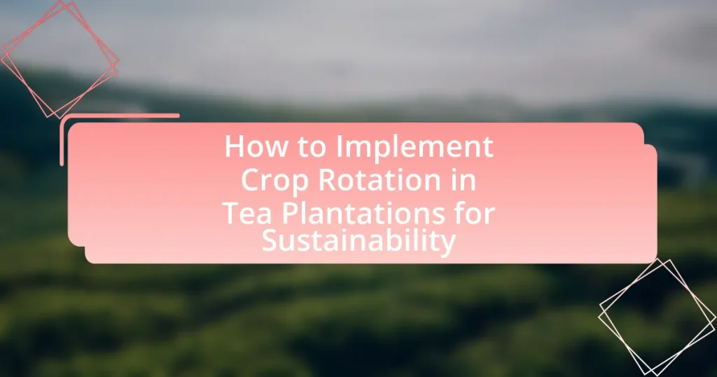 How to Implement Crop Rotation in Tea Plantations for Sustainability
