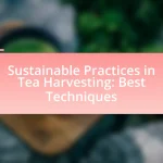 Sustainable Practices in Tea Harvesting: Best Techniques