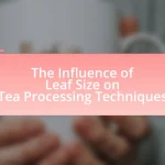 The Influence of Leaf Size on Tea Processing Techniques