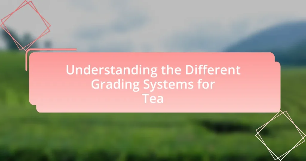 Understanding the Different Grading Systems for Tea