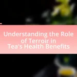 Understanding the Role of Terroir in Tea’s Health Benefits