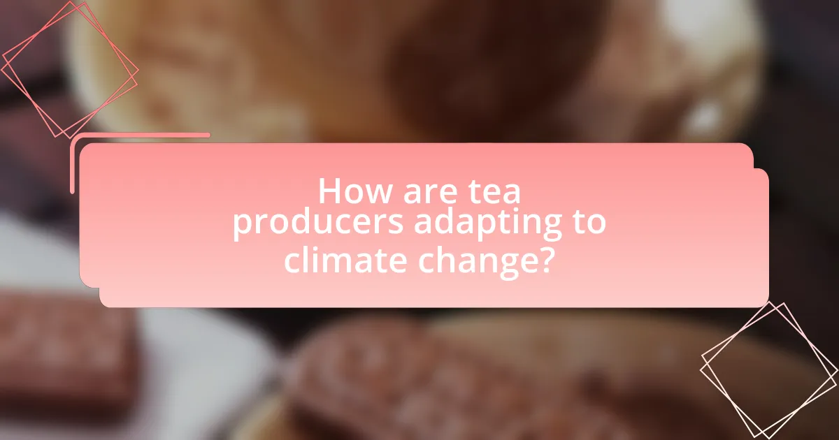 How are tea producers adapting to climate change?