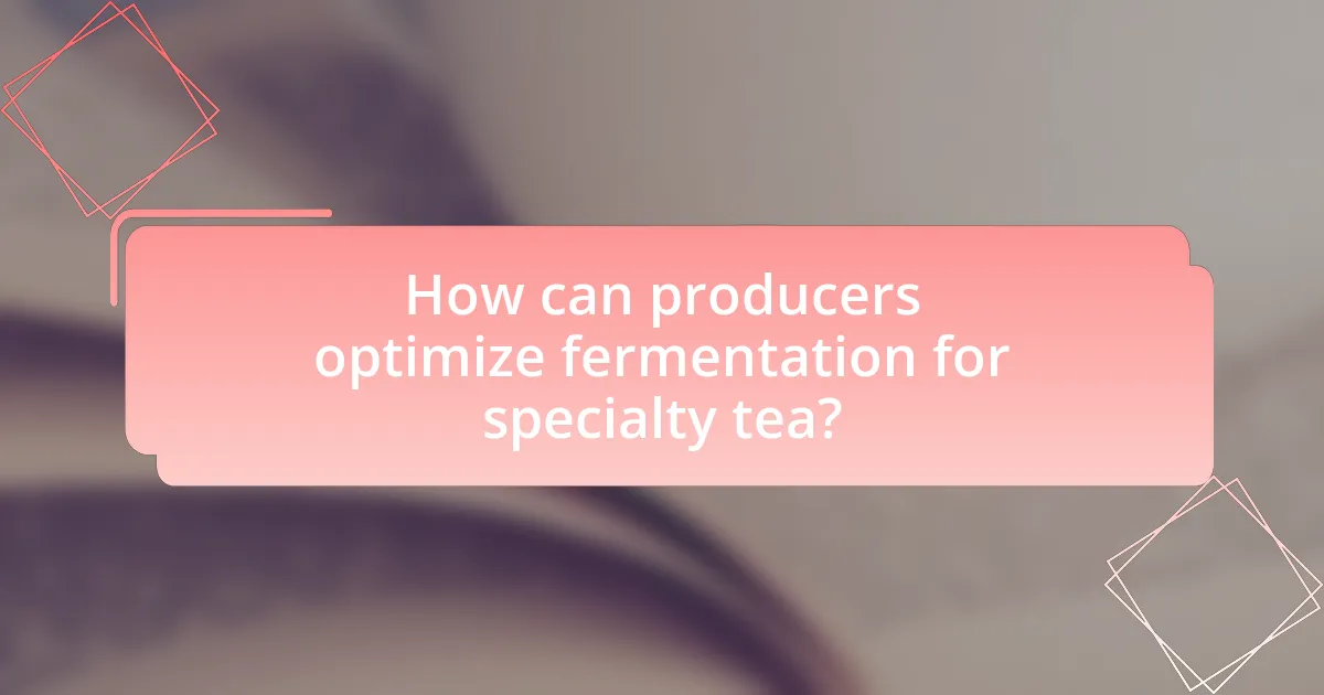 How can producers optimize fermentation for specialty tea?