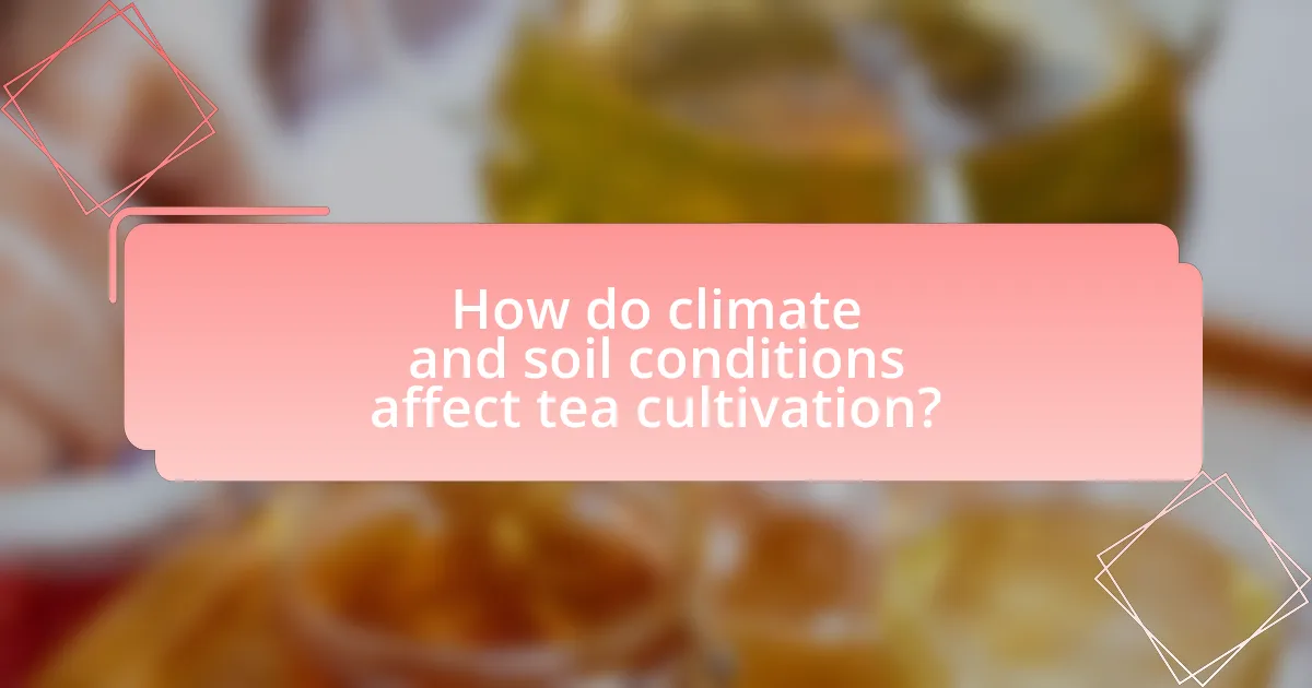 How do climate and soil conditions affect tea cultivation?