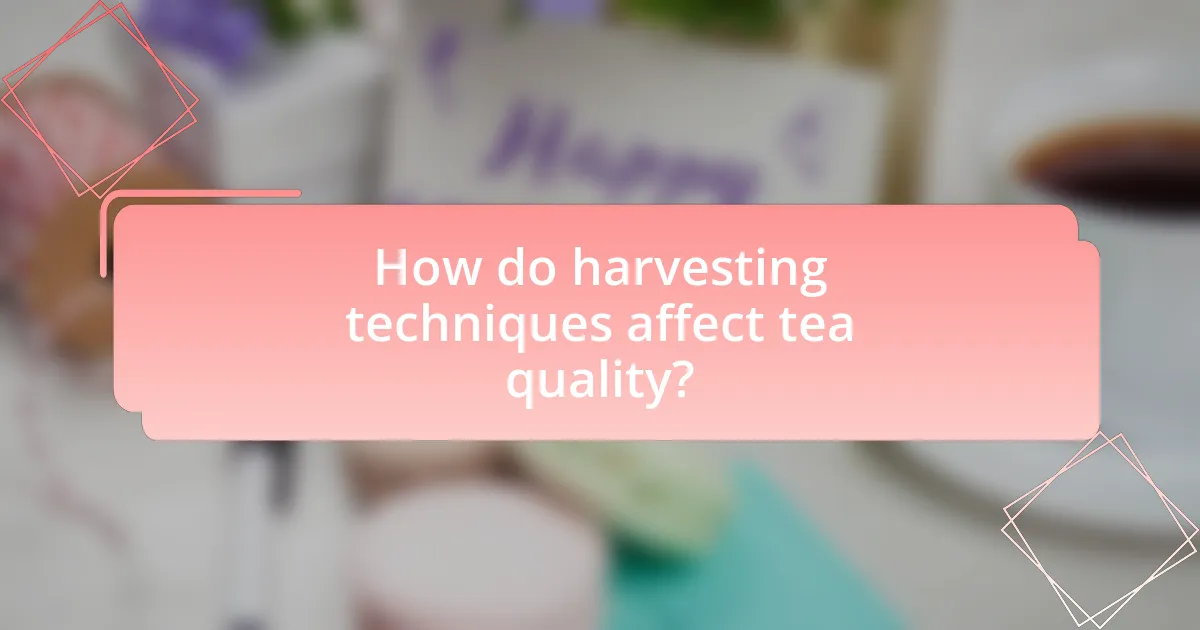 How do harvesting techniques affect tea quality?