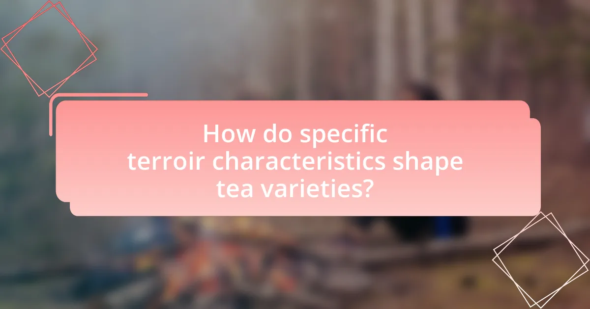 How do specific terroir characteristics shape tea varieties?