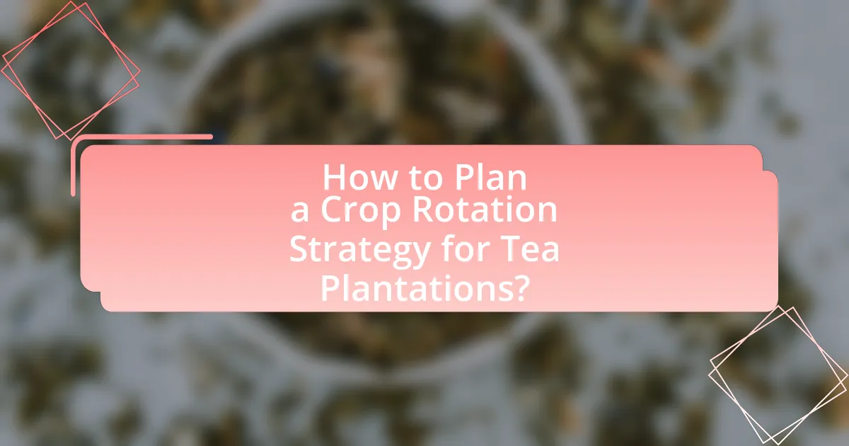 How to Plan a Crop Rotation Strategy for Tea Plantations?