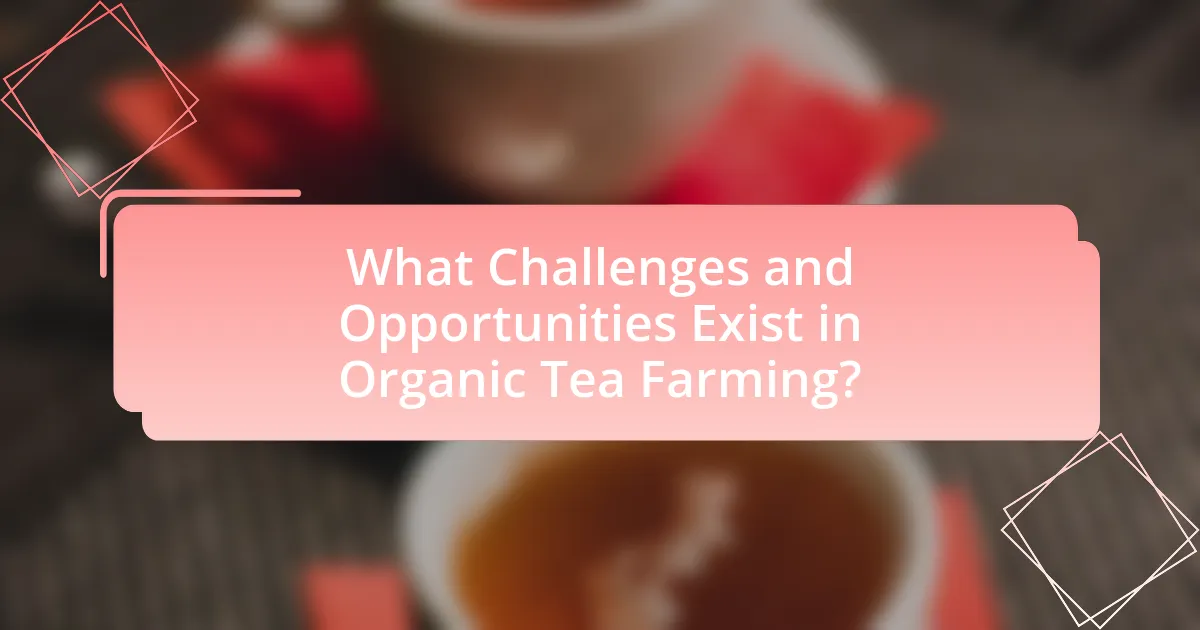 What Challenges and Opportunities Exist in Organic Tea Farming?