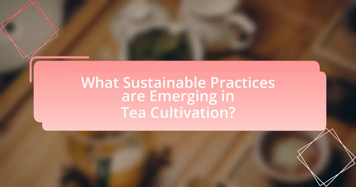 What Sustainable Practices are Emerging in Tea Cultivation?