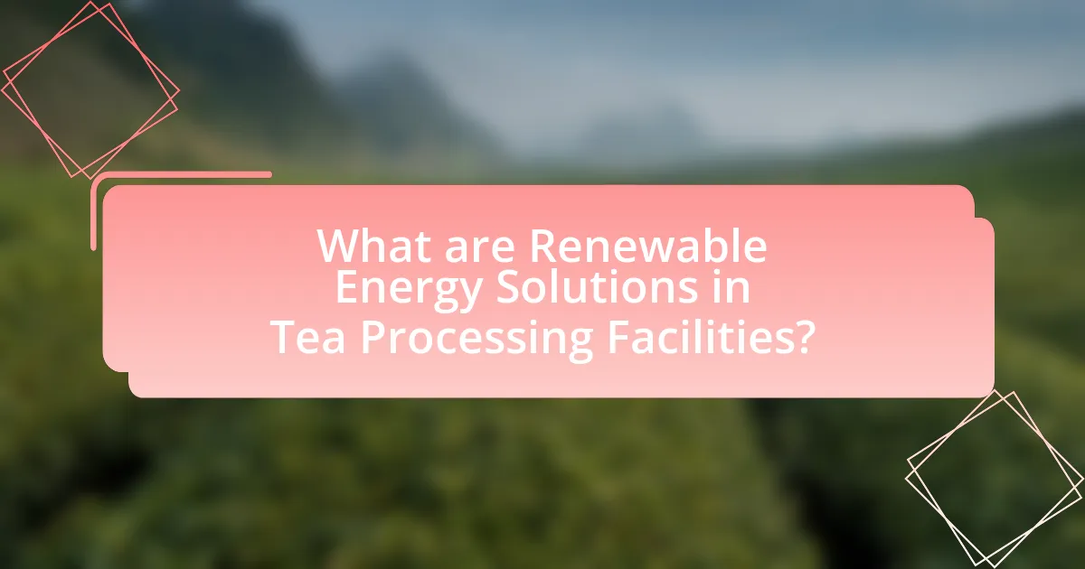 What are Renewable Energy Solutions in Tea Processing Facilities?