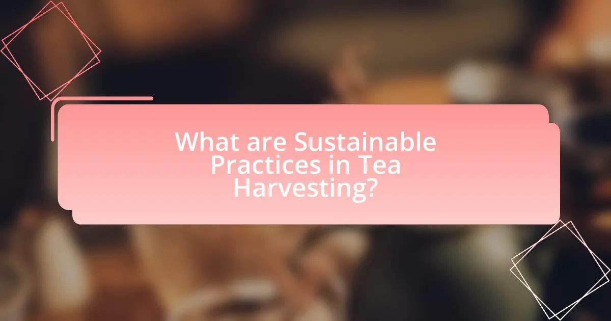 What are Sustainable Practices in Tea Harvesting?