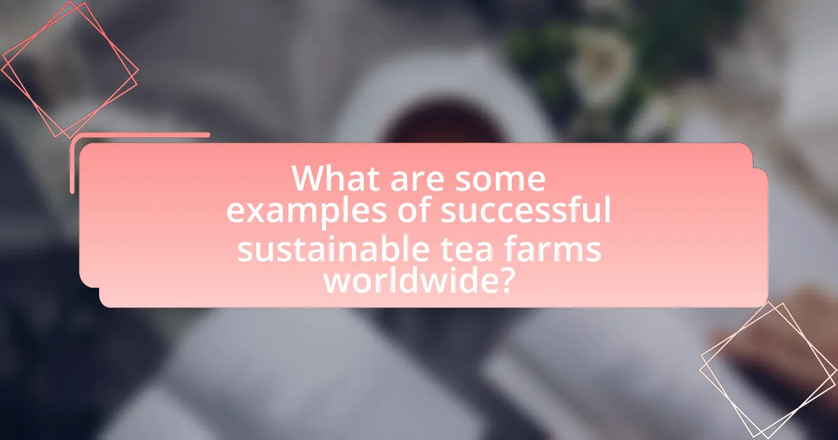 What are some examples of successful sustainable tea farms worldwide?
