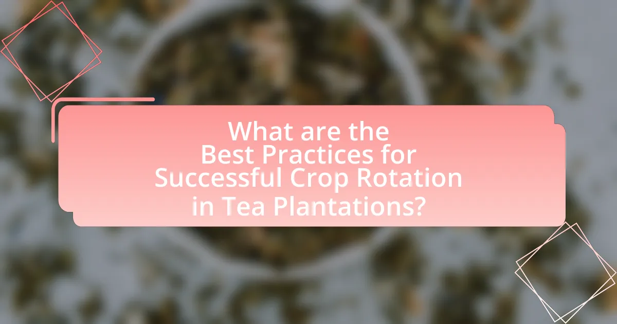 What are the Best Practices for Successful Crop Rotation in Tea Plantations?