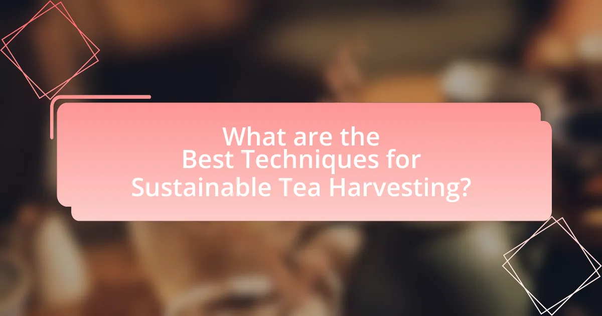 What are the Best Techniques for Sustainable Tea Harvesting?