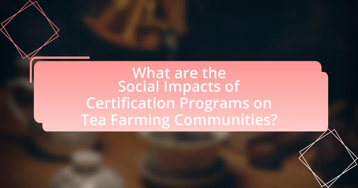 What are the Social Impacts of Certification Programs on Tea Farming Communities?