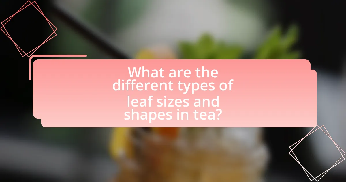 What are the different types of leaf sizes and shapes in tea?