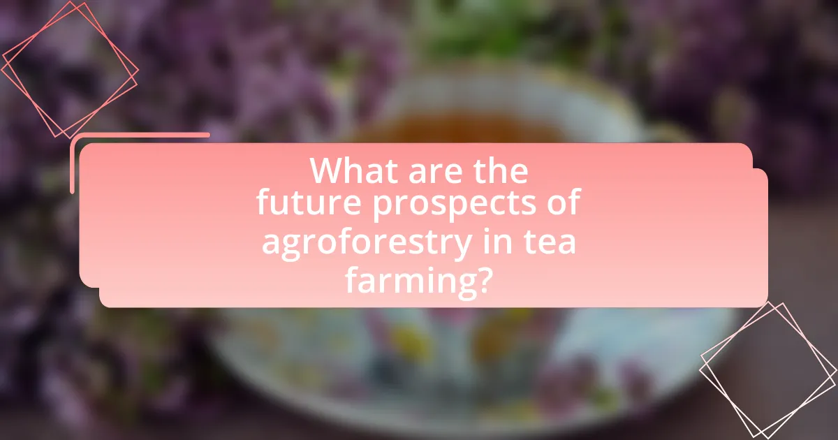 What are the future prospects of agroforestry in tea farming?