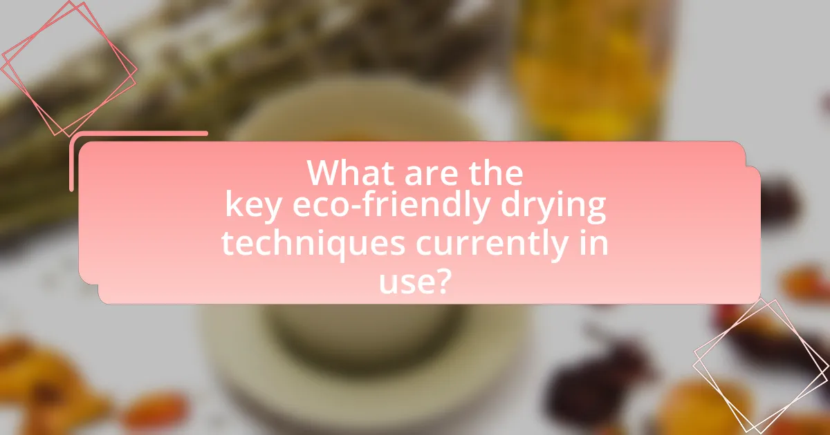 What are the key eco-friendly drying techniques currently in use?