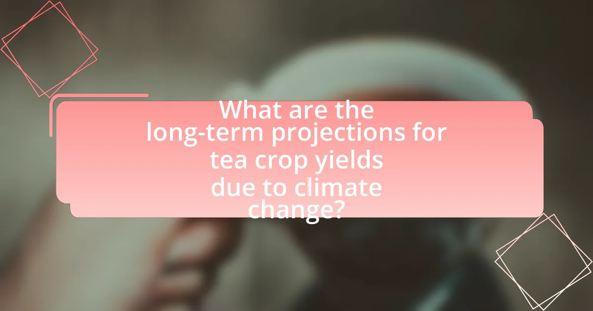 What are the long-term projections for tea crop yields due to climate change?