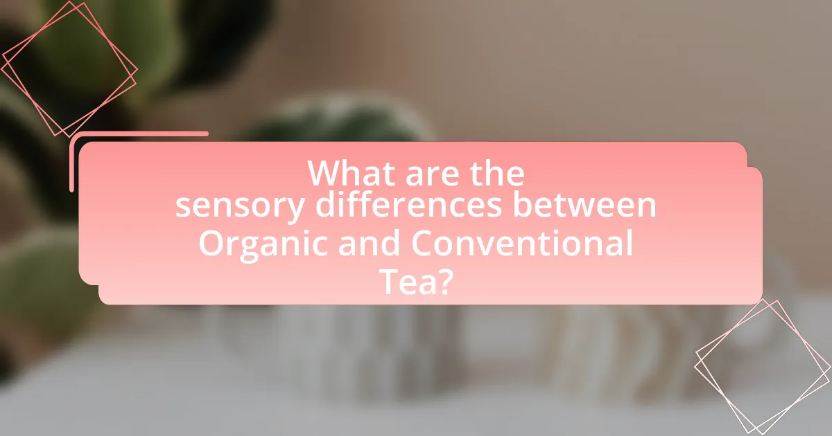 What are the sensory differences between Organic and Conventional Tea?