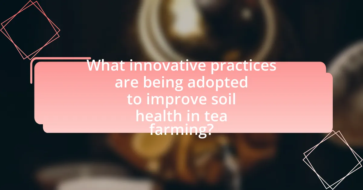 What innovative practices are being adopted to improve soil health in tea farming?