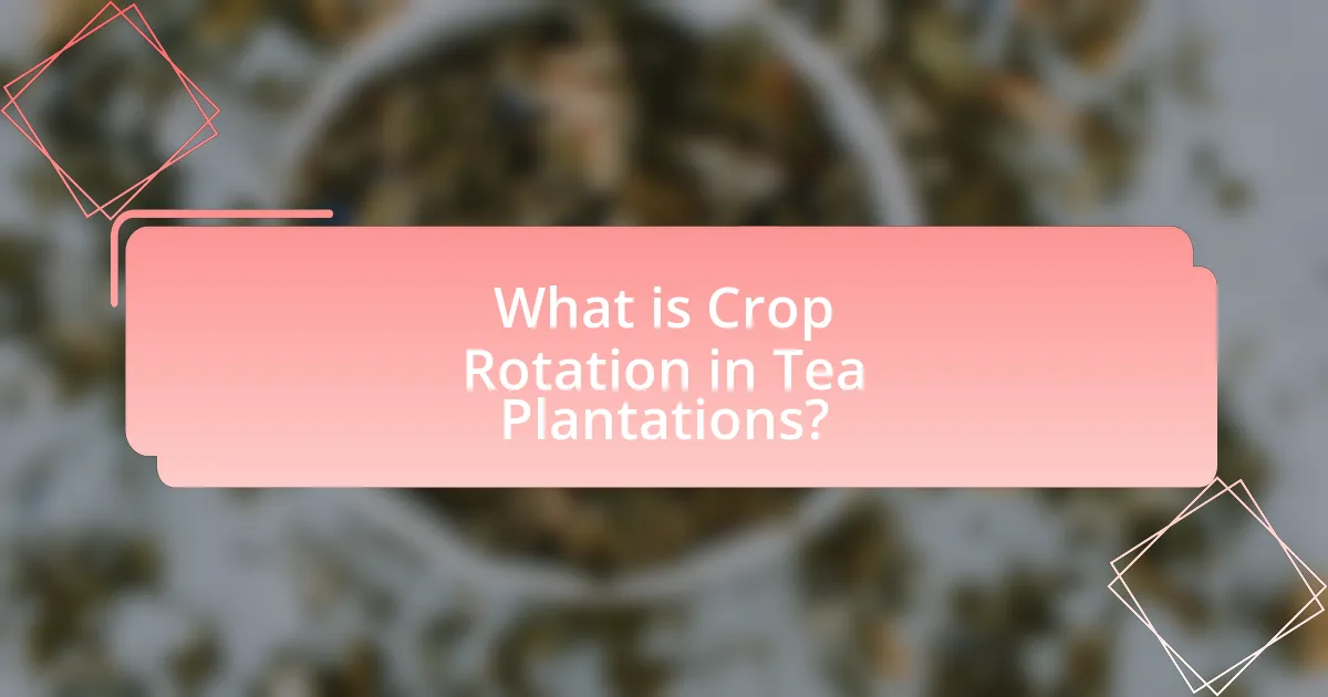What is Crop Rotation in Tea Plantations?