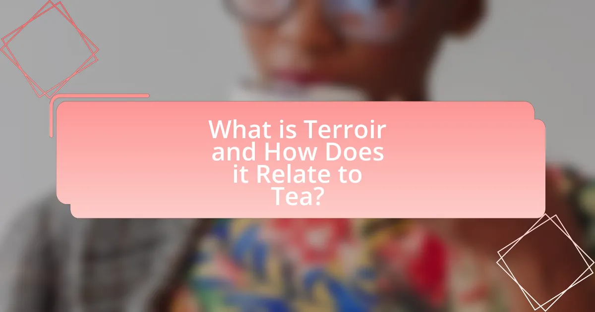 What is Terroir and How Does it Relate to Tea?