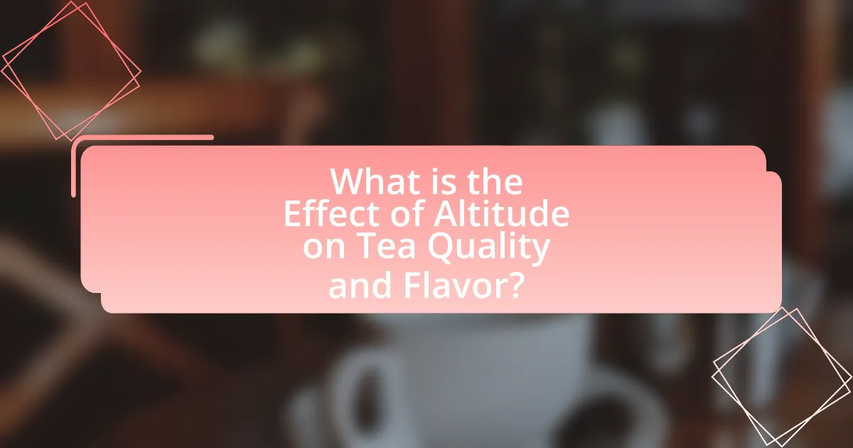 What is the Effect of Altitude on Tea Quality and Flavor?