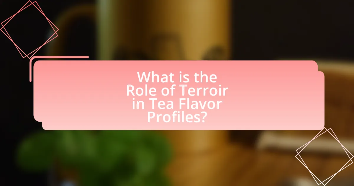 What is the Role of Terroir in Tea Flavor Profiles?
