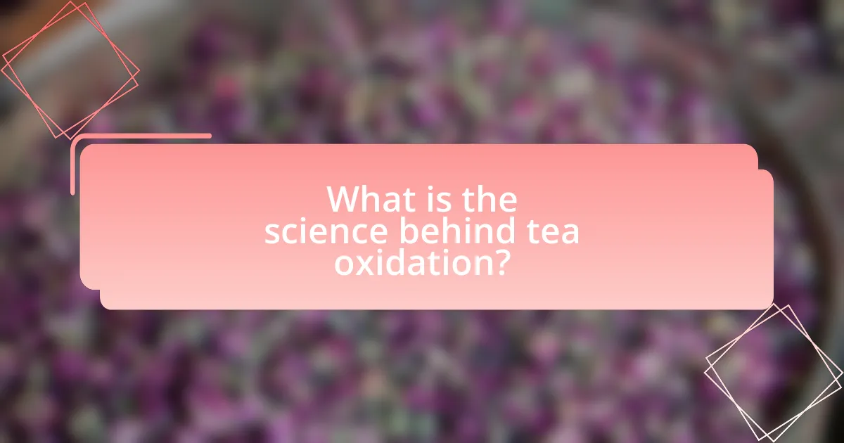 What is the science behind tea oxidation?