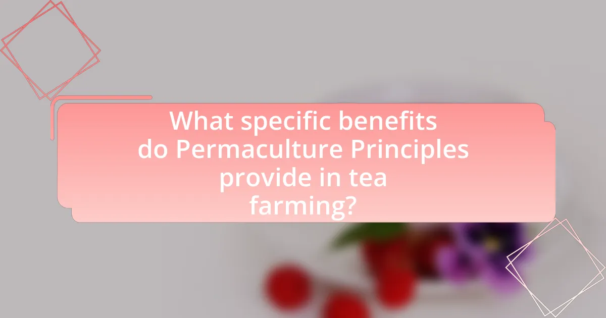 What specific benefits do Permaculture Principles provide in tea farming?