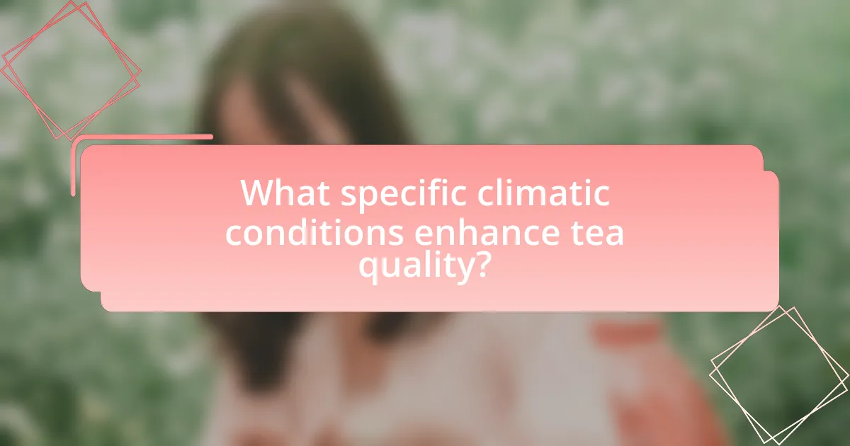What specific climatic conditions enhance tea quality?